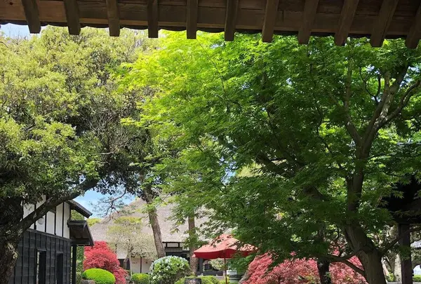 蔵日和の写真・動画_image_566413