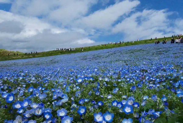 みなとパンの写真・動画_image_566455
