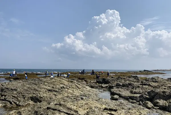 シークロップダイビングスクールの写真・動画_image_567093