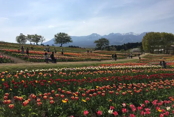 那須フラワーワールドの写真・動画_image_567466