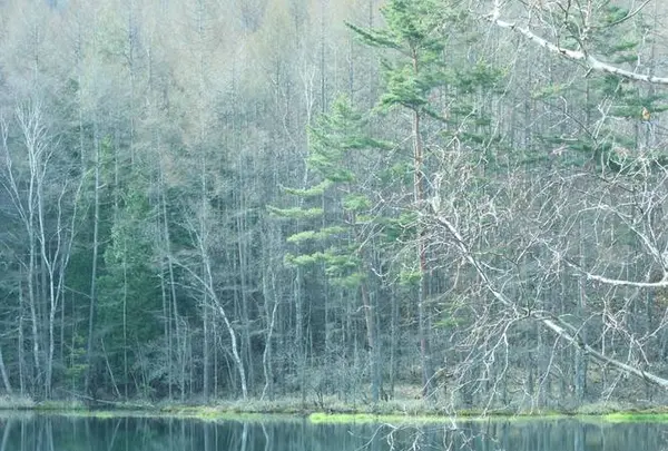 御射鹿池の写真・動画_image_567731