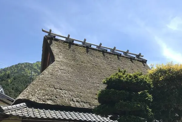 もりしげの写真・動画_image_568590