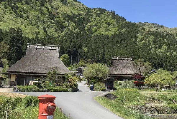 もりしげの写真・動画_image_568591