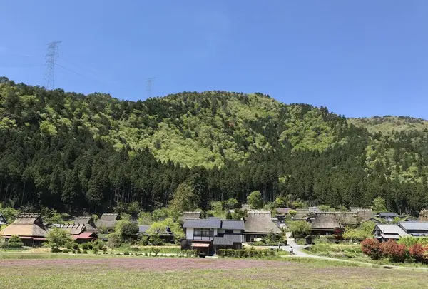 もりしげの写真・動画_image_568592