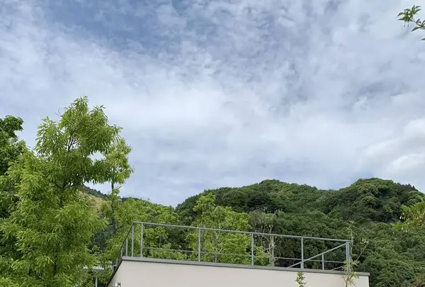 イロハーブカフェ（iroherb cafe）の写真・動画_image_568905