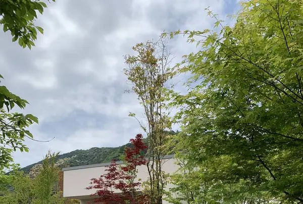 イロハーブカフェ（iroherb cafe）の写真・動画_image_568910