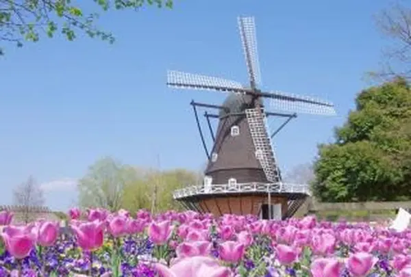 ふなばしアンデルセン公園の写真・動画_image_568936