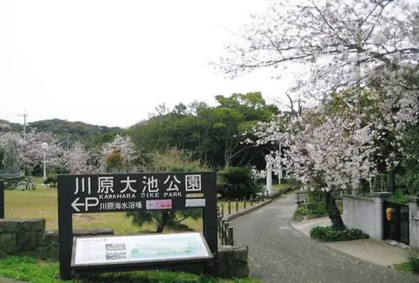 川原大池公園の写真・動画_image_568950