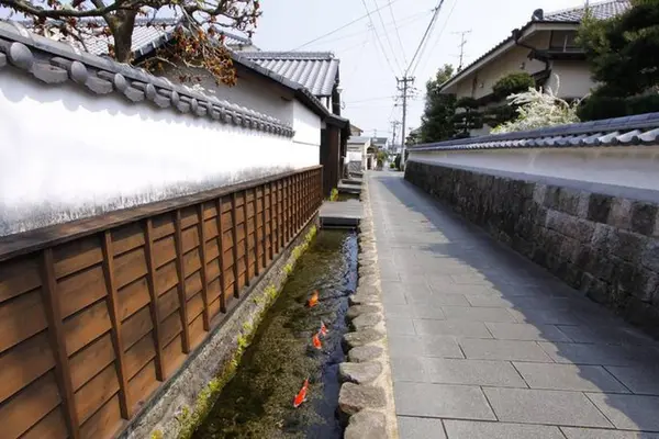島原武家屋敷通りの写真・動画_image_568961