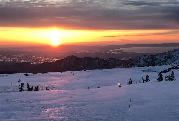 立山黒部アルペンルートの写真・動画_image_569010