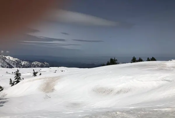立山黒部アルペンルートの写真・動画_image_569011