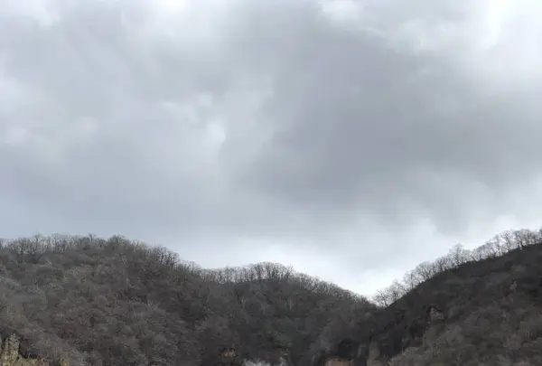 登別地獄谷の写真・動画_image_569112