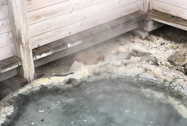 登別地獄谷の写真・動画_image_569127