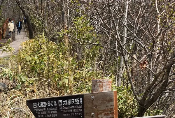 登別地獄谷の写真・動画_image_569133