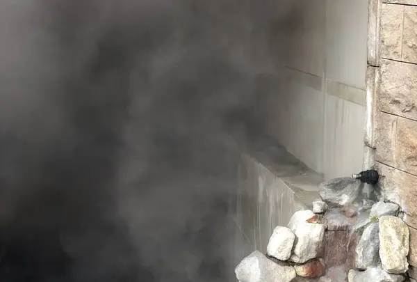 泉源公園の写真・動画_image_569153