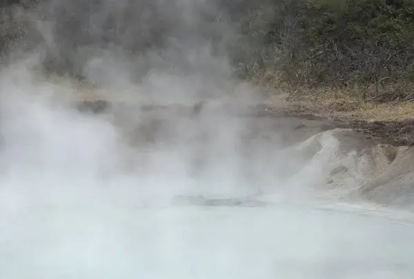 奥の湯の写真・動画_image_569173