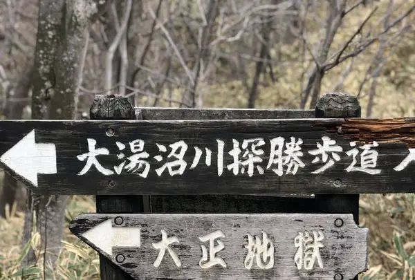 大湯沼川天然足湯の写真・動画_image_569183