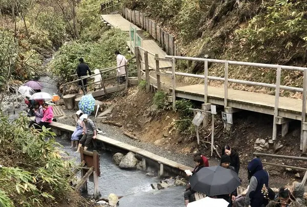 大湯沼川天然足湯の写真・動画_image_569184