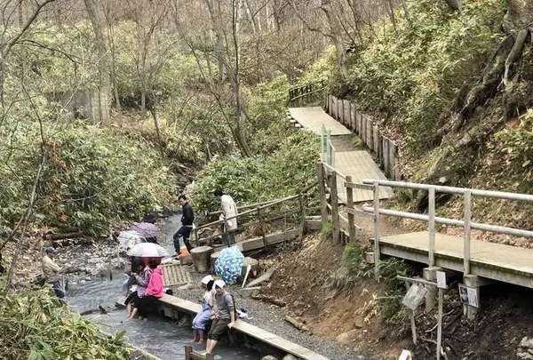 大湯沼川天然足湯の写真・動画_image_569185