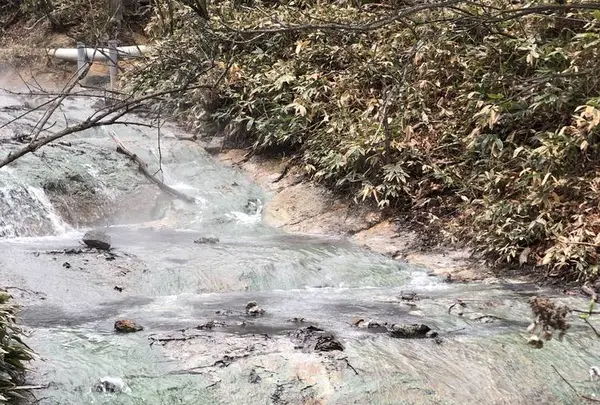 大湯沼川天然足湯の写真・動画_image_569186