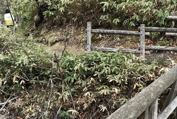大湯沼川天然足湯の写真・動画_image_569187