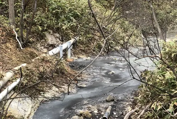 大湯沼川天然足湯の写真・動画_image_569188