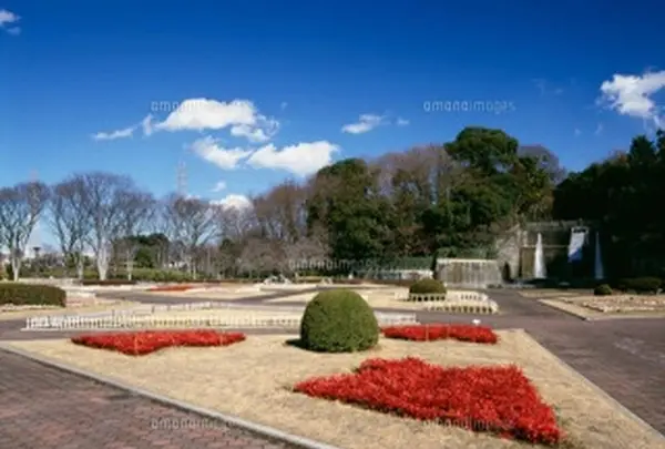 川口市立グリーンセンターの写真・動画_image_569210