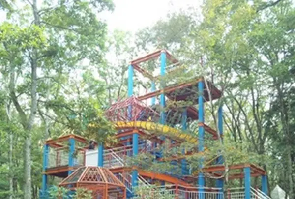 修善寺 虹の郷の写真・動画_image_569221