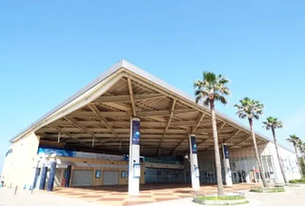 新江ノ島水族館の写真・動画_image_569318