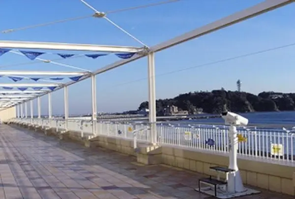 新江ノ島水族館の写真・動画_image_569321