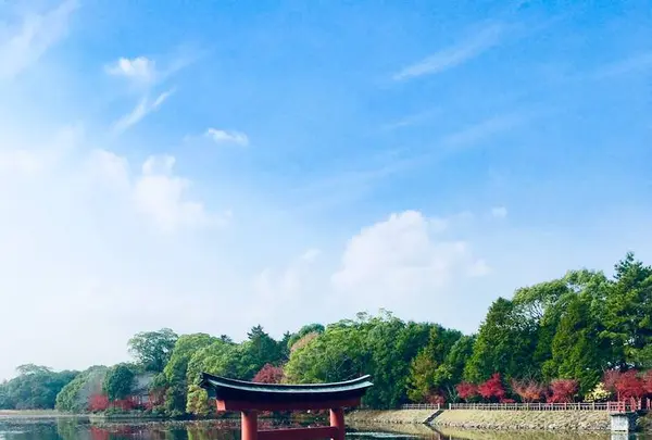 薦神社の写真・動画_image_570010