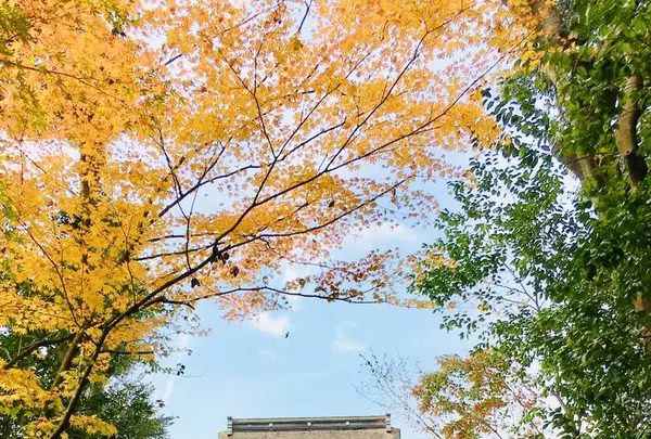薦神社の写真・動画_image_570014