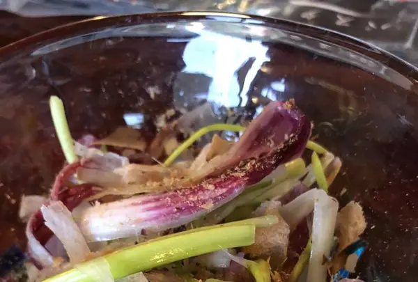 琉宮Ryuguuの写真・動画_image_570139