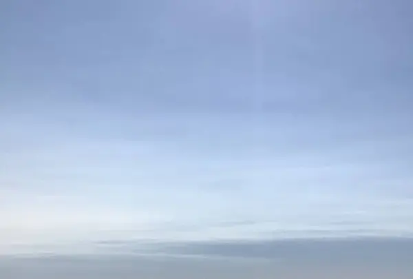 Rottnest Island（ロットネスト島）の写真・動画_image_570315