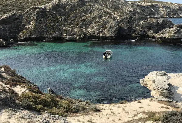 Rottnest Island（ロットネスト島）の写真・動画_image_570316