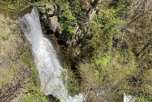 壮瞥滝の写真・動画_image_570412