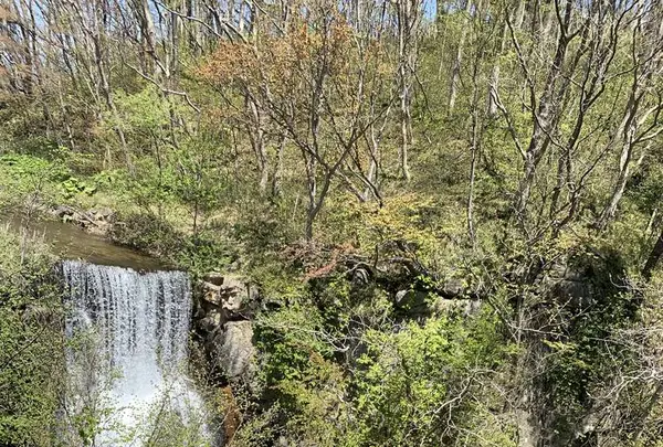 壮瞥滝の写真・動画_image_570413