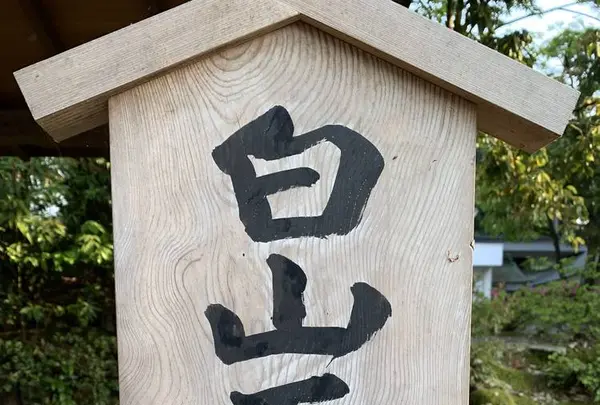 白山比咩神社の写真・動画_image_570802