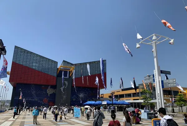 海遊館の写真・動画_image_571860