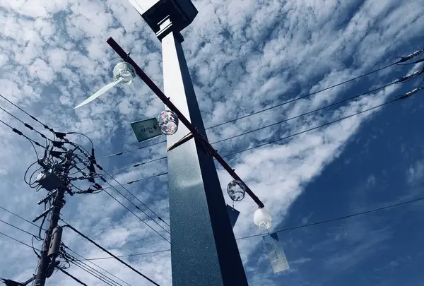 北海道の写真・動画_image_572043