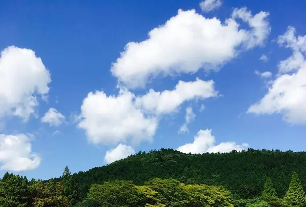 志高湖の写真・動画_image_572632