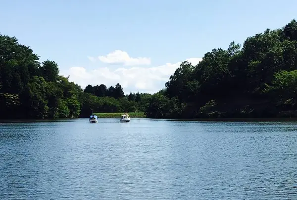 志高湖の写真・動画_image_572633