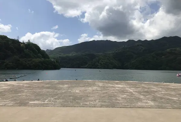 相模湖の写真・動画_image_573498