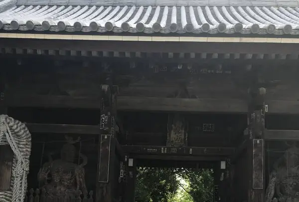 志度寺の写真・動画_image_573976