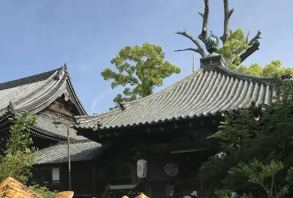 志度寺の写真・動画_image_573977