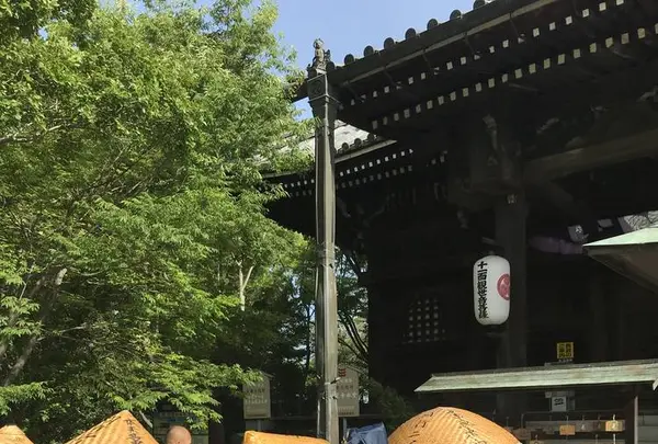 志度寺の写真・動画_image_573978