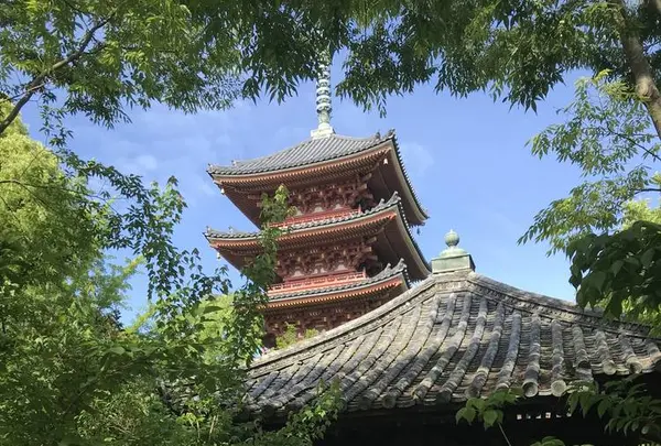 志度寺の写真・動画_image_573979
