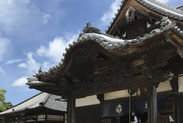 長尾寺の写真・動画_image_573987