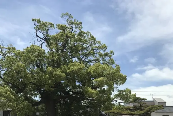 長尾寺の写真・動画_image_573988