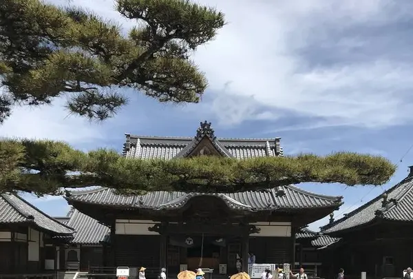 長尾寺の写真・動画_image_573989